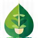 Icône feuille environnementale protection