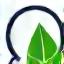 Icône de feuille et de loupe, symbolisant l'évaluation d'impact environnemental
